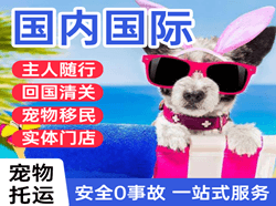 喀什徕宁机场货运国际宠物托运 【国